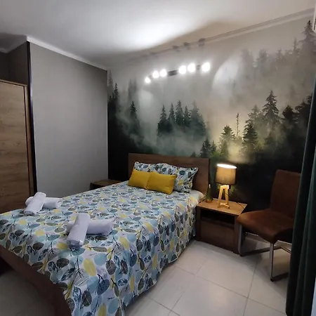 Guest house къща симона