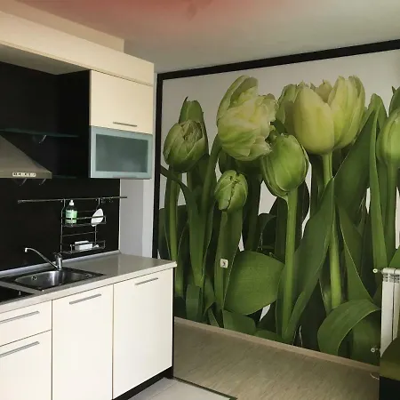 Guest house къща симона 3*