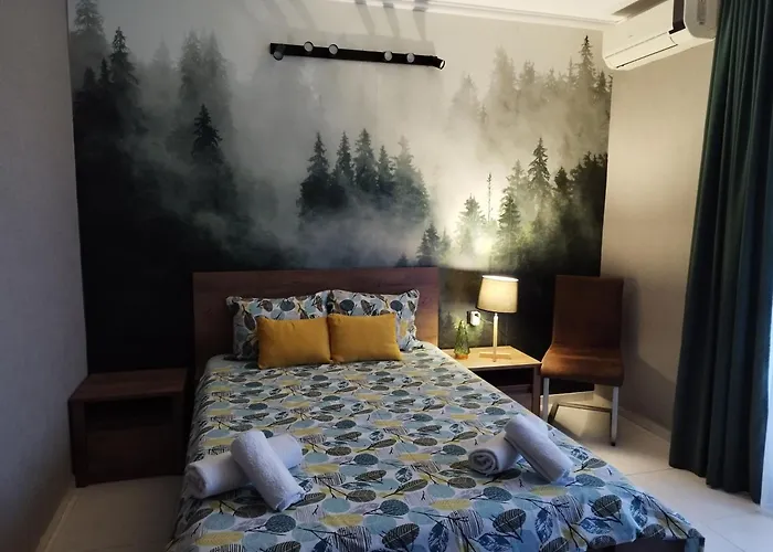 게스트하우스 къща симона 키텐