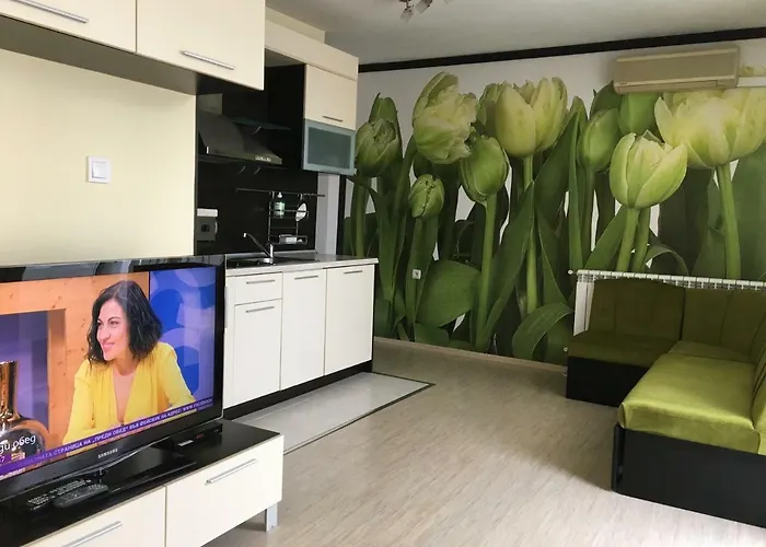 게스트하우스 къща симона 3*