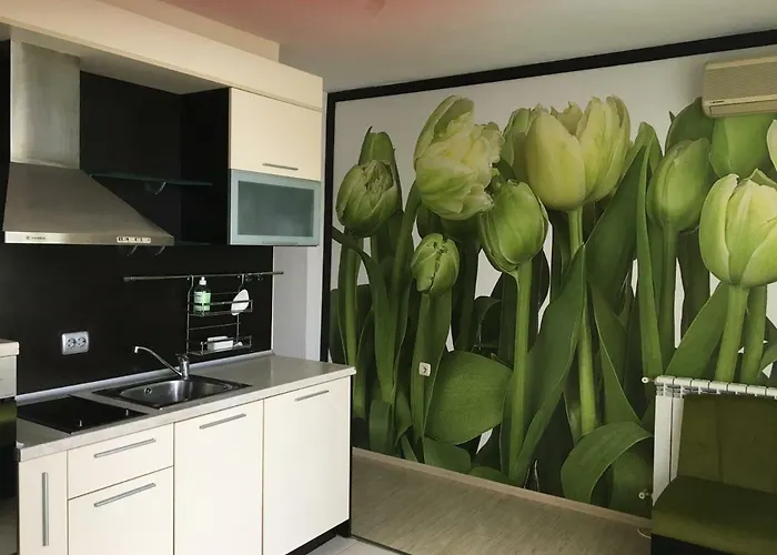 게스트하우스 къща симона 3*